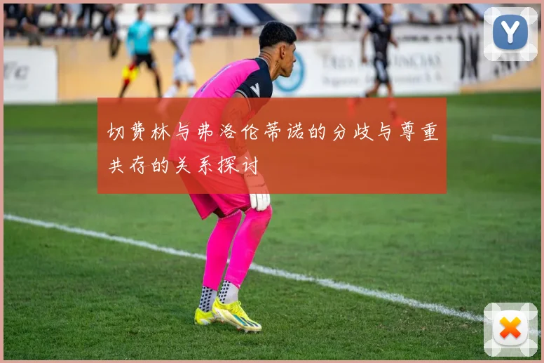 切费林与弗洛伦蒂诺的分歧与尊重共存的关系探讨